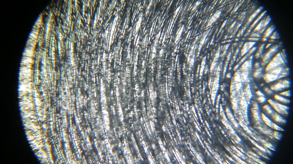 Electrospun Fiber Mat Microscopic View